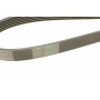 Ремінь генератора Infiniti FX/M45/Lexus GS/Mitsubishi Outlander 1.8-4.5 93-