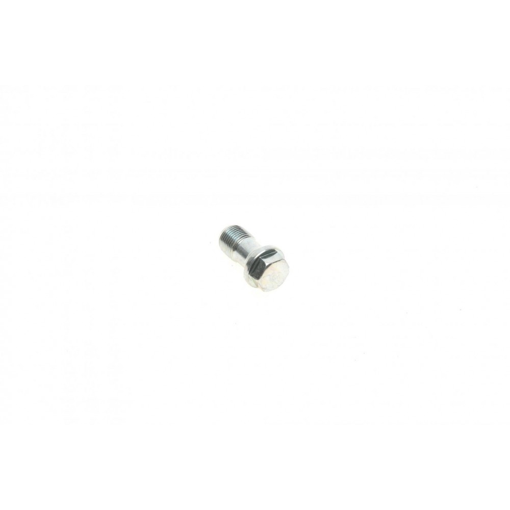 Болт Banjo (банжо) M12x1mm (13x28.9)