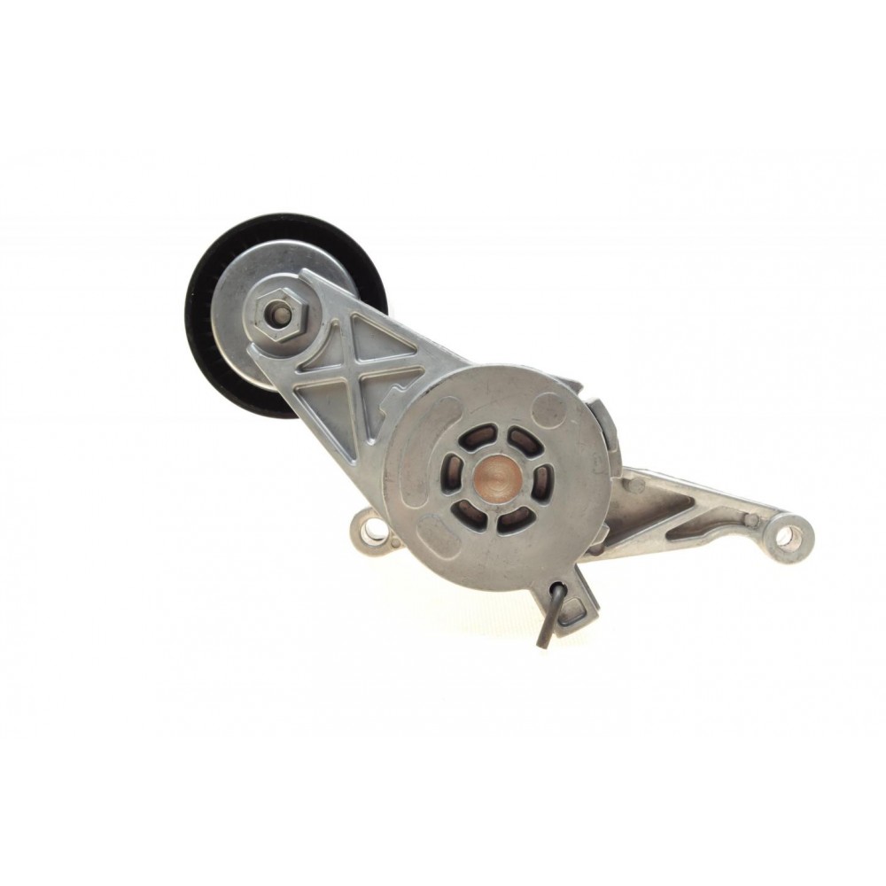 Натяжник ременя генератора VW 1.9/2.0TDI 04-10 (70x24)