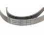 Ремінь генератора Opel Astra F/Corsa B/Vectra B 1.4-1.8 94-03/Ford Escort/Fiesta 1.6/1.8 92-95