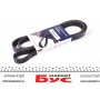Ремінь генератора Opel Vectra 2.0/2.2 DTI (6PK1805)