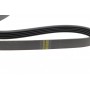 Ремінь генератора Daewoo Lanos 1.4/1.6i (5PK1015)