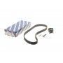 Комплект ГРМ Renault Clio/Kangoo/Megane/Dacia Dokker/Duster/Logan 1.5dCi 10- (27x119z)
