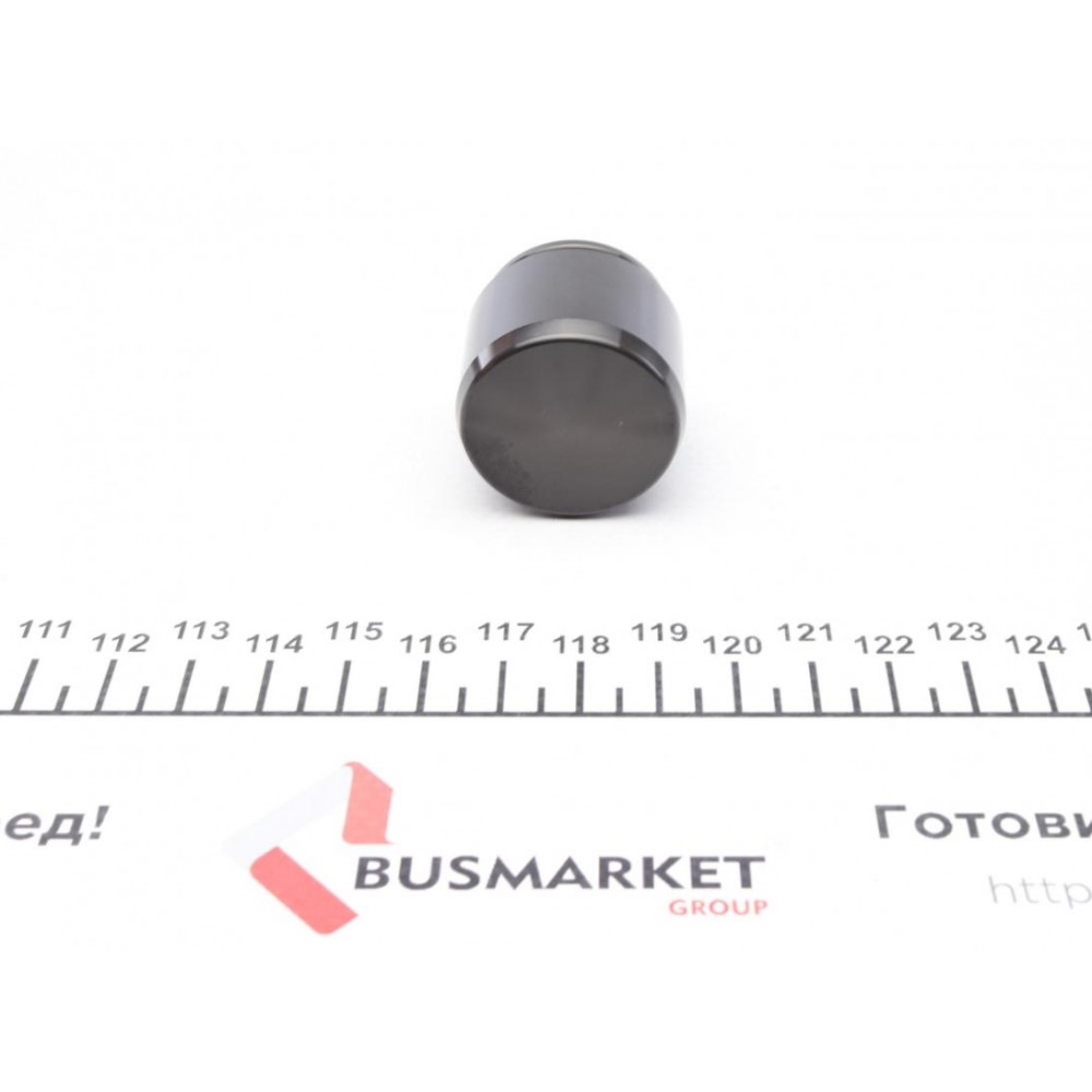 Поршень супорта (переднього) BMW 3 (E90-E93) 06-13/VW Touareg 10-18 (32x30) (Brembo)