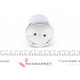 Поршень супорта (заднього) Opel Movano/Renault Master 10- (60x54mm) (Brembo)
