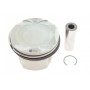 Поршень BMW 5 (F07/F10/F11)/6 (F12/F13)/7 (F01-F04)/X5 (E70) 08-18 (89.00mm/STD) N63