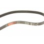 Ремінь генератора Fiat Brava 1.6 16V 95-01/Peugeot 205/305 1.9D 83-89/Renault Laguna 3.0 96-01