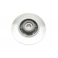 Диск гальмівний (задній) Renault Megane III/Scenic III 08- (260x8)(з підшипником)(+ABS)