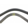 Ремінь генератора Fiat Palio 1.2 97-/Land Rover Freelander 1.8i 98-06