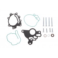 Ремкомплект насосу вакуумного VW Golf V/Passat B6/Touran 2.0 TDI 03-10