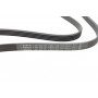 Ремінь генератора Opel Combo/Corsa/Meriva 1.2/1.4 00-/Mitsubishi Galant 2.0 96-00 (5PK1370)