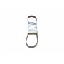 Ремінь генератора Citroen Berlingo/Jumpy/Fiat Scudo 1.9D 98-11/Peugeot Partner 96-15 (6PK869)