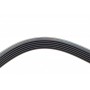 Ремінь генератора Ford Scorpio 2.0i 94-98 (6PK1755)