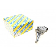 Натяжник ременя генератора VW 1.9/2.0TDI 04-10 (70x24)