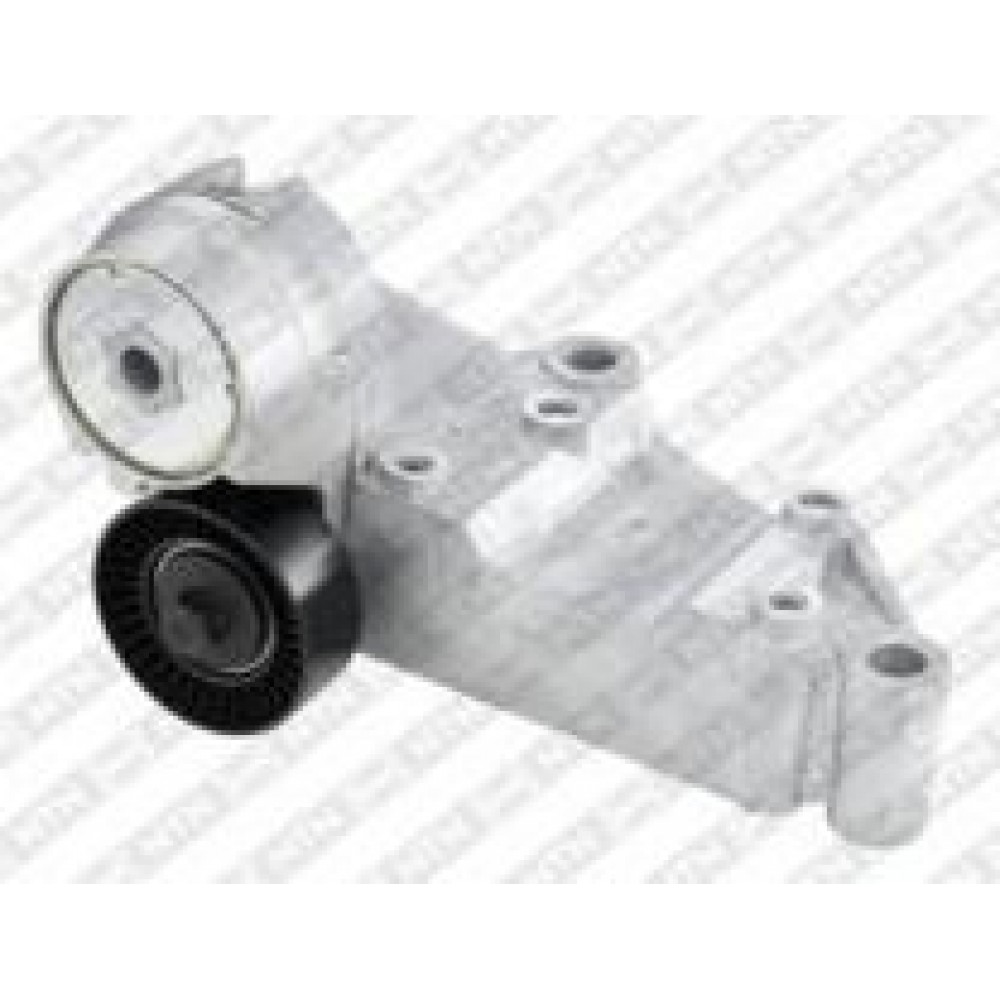 Натяжник ременя генератора Ford Connect 1.8TDCi