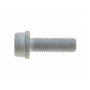 Болт кріплення скоби супорта (заднього) VW Golf IV 98-06 (M10x1.25x30)