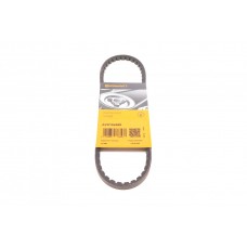 Ремінь генератора VW Corrado 1.8 88-93/Citroen CX 2.0 74-79 (10X660)