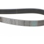 Ремінь генератора BMW 5 (E39/G30/F90)/7 (E38/F01/F02/F03/F04) 3.5-6.0 96-