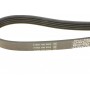 Ремінь генератора Rover 800 2.5 90-99 (5PK1500)