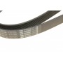 Ремінь генератора Land Rover Range Rover Sport 05-13/Discovery 2.7D 04- (8PK2093)
