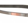 Ремінь генератора Renault Espace 2.2 dCi 02-/Land Rover Discovery 4.0 V8 4x4 98-04