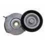Натяжник ременя генератора Peugeot Expert 1.6/2.0 HDI 07-