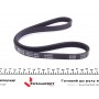 Ремінь генератора Honda Civic VI/Nissan Primera/Citroen Berlingo 1.4-1.6 16V 94-05 (4PK800)