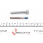 Комплект ГРМ Citroen C5/C6/C8/Fiat/Ford/Peugeot 2.2HDI 06-