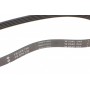 Ремінь генератора Land Rover Freelander 1.8 16V 00-06
