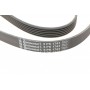 Ремінь генератора Peugeot 206/306/4007/406/4007/Citroen C5 1.9TD/2.0/2.2HDI 96-/Ford Galaxy 2.2 08-
