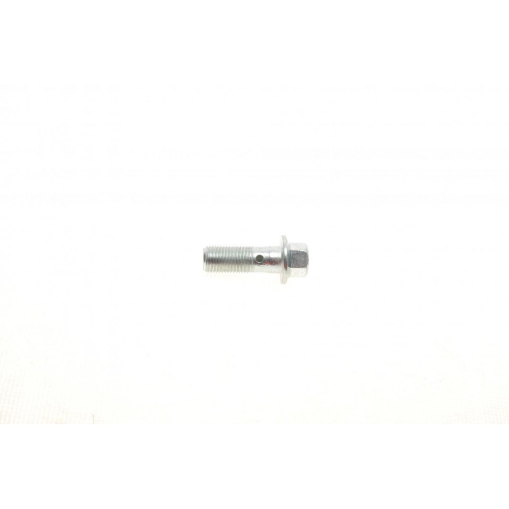 Болт Banjo (банжо) M10x1mm (11x37)