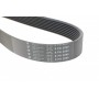Ремінь генератора Land Rover Range Rover Sport 2.7D 05-13