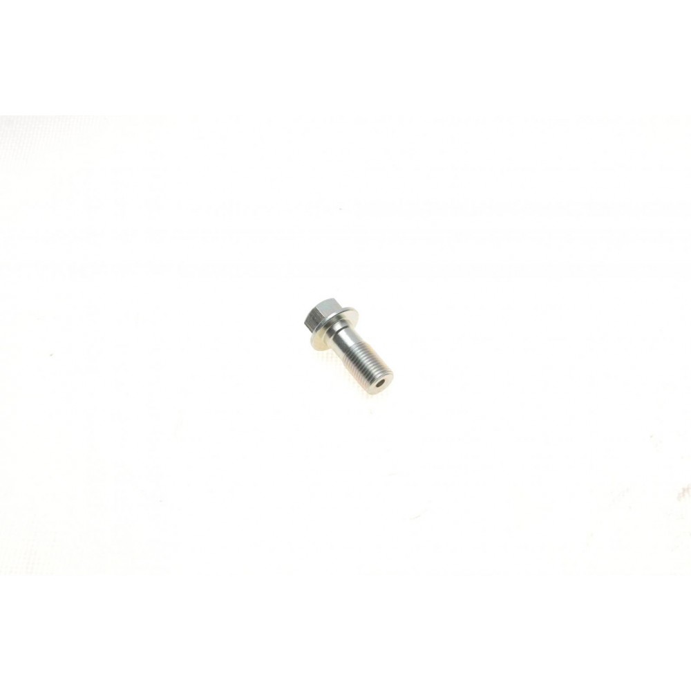 Болт Banjo (банжо) M10x1mm (12x31.4)
