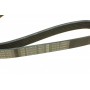 Ремінь генератора поліклиновий Nissan Almera 2.0 00-03/ Primera 2.0 16V 96-01 (6PK1030)