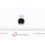 Поршень супорта (заднього) Hyundai Elantra 00-06/Kia Cee'd 12- (34x48mm) (TRW)