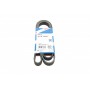 Ремінь генератора поліклиновий VW Golf/BMW/Ford/Opel (6PK1540)