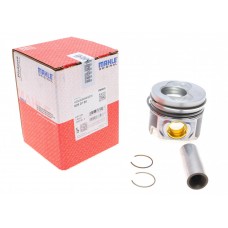 Поршень VW Caddy III/Passat 2.0 TDI 03-09 (81.01mm/STD/cyl.3-4)