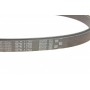 Комплект ременя генератора Renault Megane/Scenic 1.4/1.6 00-09 (5PK1750)