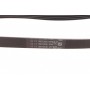 Ремінь генератора BMW 3 (E46)/X3 (E83) 01-07/Fiat Stilo 1.6 16V 01-08