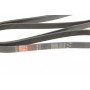 Ремінь генератора Hyundai Santa Fe 12-15/Jeep Patriot 2.4 08-