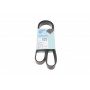 Ремінь генератора Fiat Doblo 1.3D Multijet/ Ducato 2.0JTD 01-/ VW Caddy/ Ford Fiesta 1.25-1.6 95-