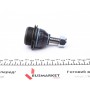 Опора кульова (передня/знизу) Citroen C5 I,II/Xantia/Peugeot 405 I,II/406/605/607 1.4-2.7Hdi 01.87-