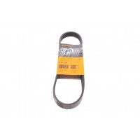 Ремінь генератора Citroen Jumper 2.5TD/2.0 94-02 (ALT)