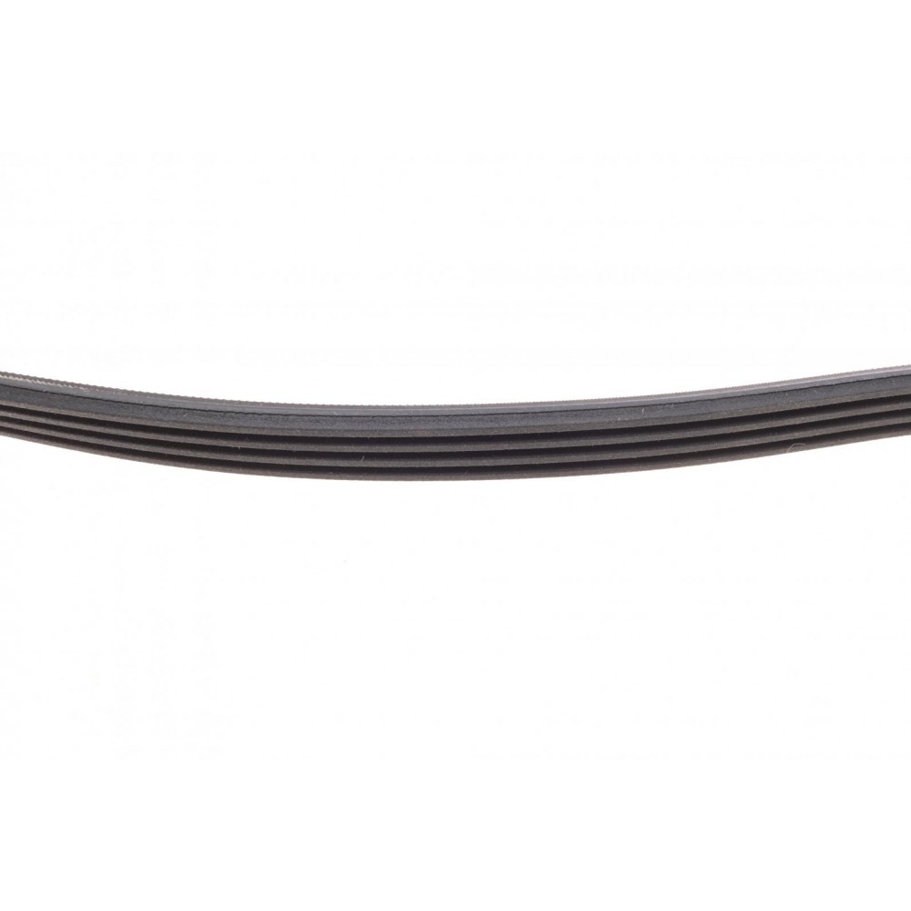 Ремінь генератора BMW 3 (E46)/X3 (E83) 01-07/Fiat Stilo 1.6 16V 01-08