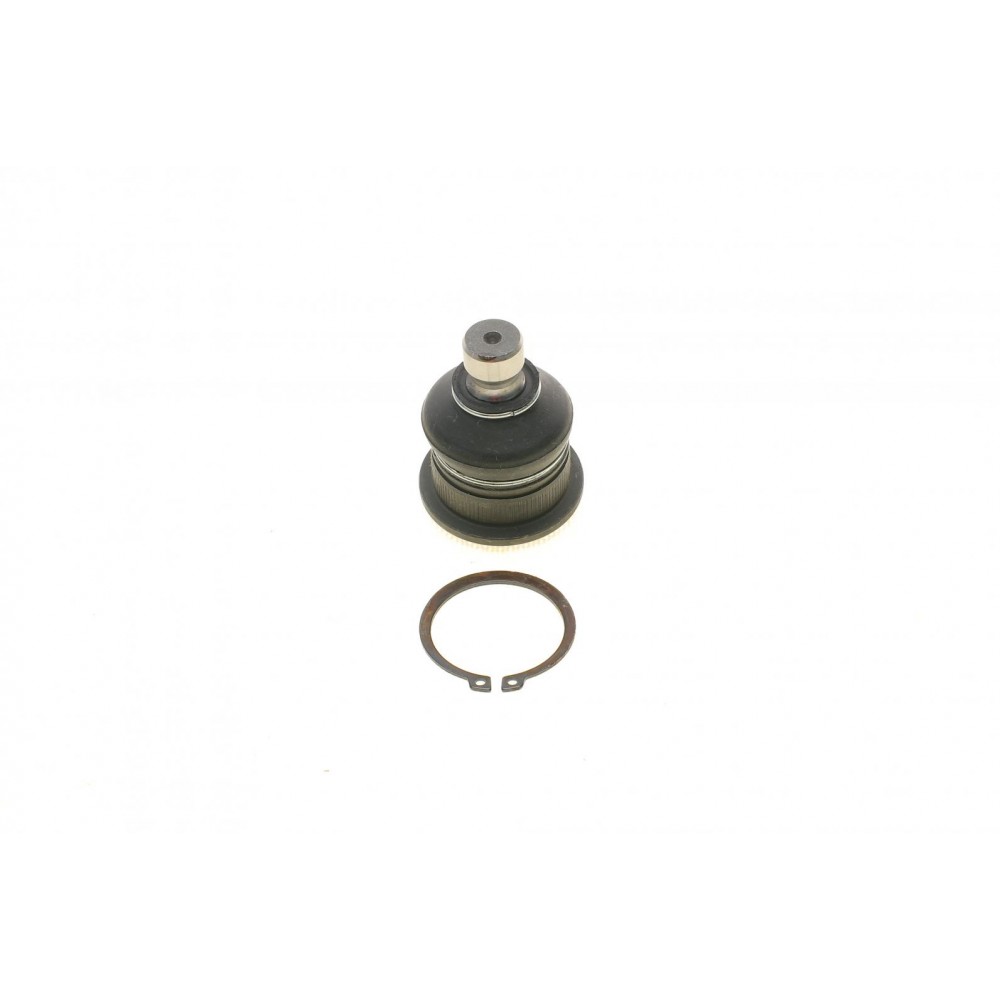 Опора кульова (передня/знизу) Renault Megane II/Scenic 02- (d=16mm)