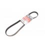 Ремінь генератора Citroen C3/C4/Peugeot 307 1.4-1.6HDi 02-