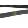 Ремінь генератора Land Rover Defender 2.2Td4 11-16/Nissan Navara/Pathfinder 3.0dCi 10- (7PK2670)