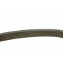 Ремінь генератора поліклиновий VW T5/Amarok 2.0TDI 09-/Ford Focus/Kuga/Galaxy 98-/Opel Astra J/Insignia A 1.6 08- (6PK1555)