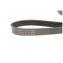 Ремінь генератора VW Golf 1.2/1.4 TSI 12-/Skoda Octavia 1.2-1.6 12-