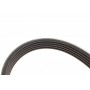 Комплект ременя генератора Volvo S40/S60/S80/V40/V60/V70/XC60/XC70 1.9/2.0/2.4D 00-